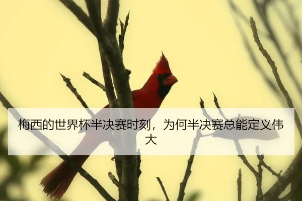 mei-xi-de-shi-jie-bei-ban-jue-sai-shi-ke-wei-he-ban-jue-sai-zong-neng-ding-yi-wei-da-2-692.jpg